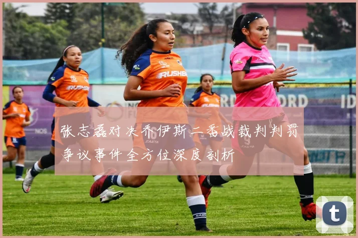 张志磊对决乔伊斯二番战裁判判罚争议事件全方位深度剖析