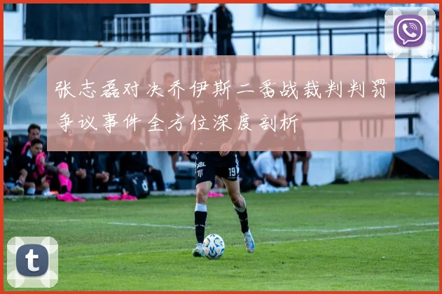 张志磊对决乔伊斯二番战裁判判罚争议事件全方位深度剖析