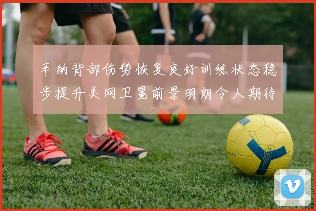 辛纳背部伤势恢复良好训练状态稳步提升美网卫冕前景明朗令人期待