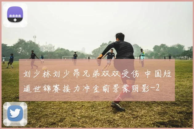 刘少林刘少昂兄弟双双受伤 中国短道世锦赛接力冲金前景蒙阴影