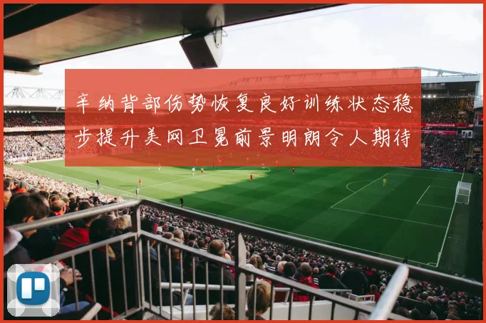 辛纳背部伤势恢复良好训练状态稳步提升美网卫冕前景明朗令人期待